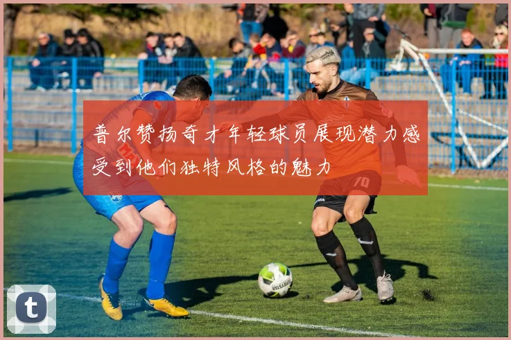 普尔赞扬奇才年轻球员展现潜力感受到他们独特风格的魅力
