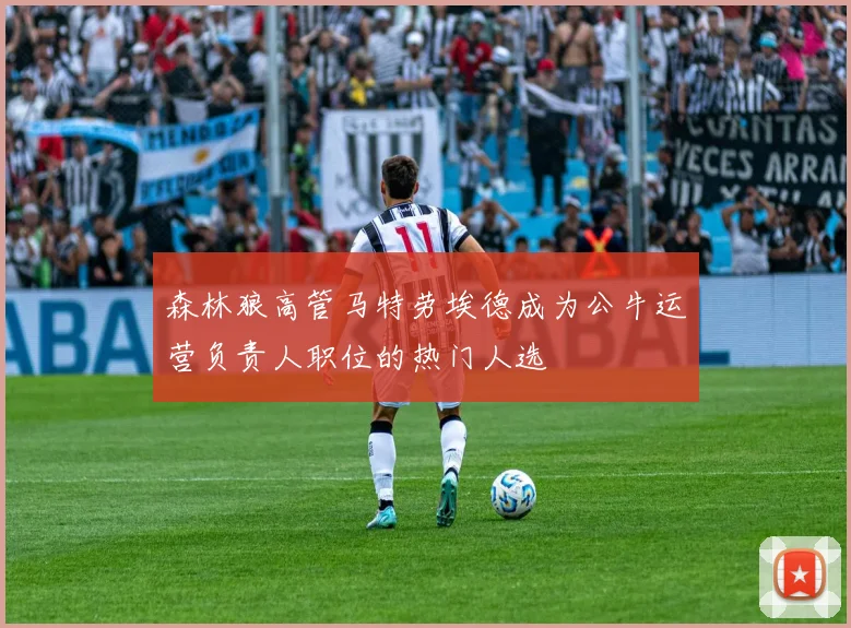 森林狼高管马特劳埃德成为公牛运营负责人职位的热门人选